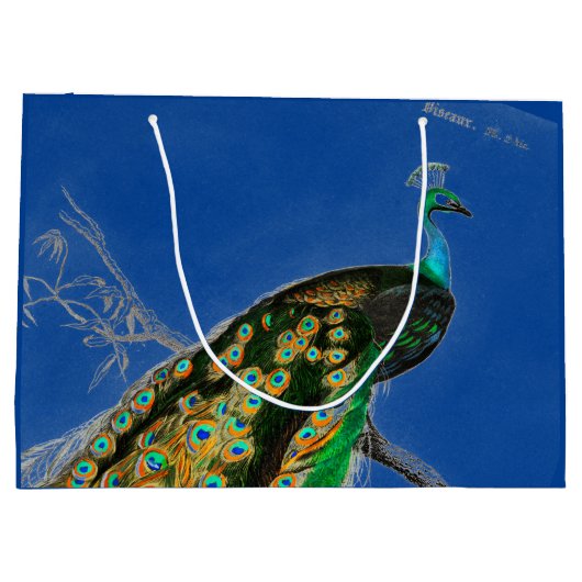 Sac cadeau PEACOCK EN BLEU (Dos)