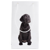 Sac Cadeau petit chiot mignon de labrador retriever (Devant)