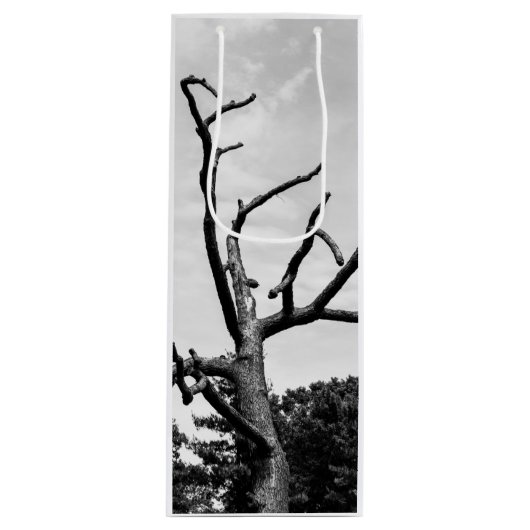 Sac Cadeau Pour Bouteille arbre libre (Devant)