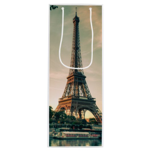 Sac Cadeau Pour Bouteille Eiffel tour lancer oreiller (Devant)