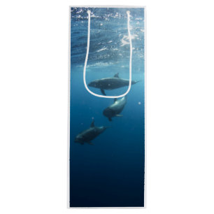 Sac Cadeau Pour Bouteille Famille Dolphin sous-marine