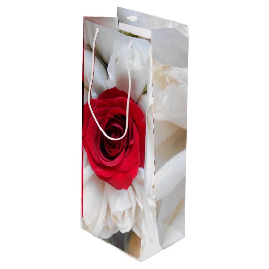 Sac Cadeau Pour Bouteille Lindegren (Devant Angle)
