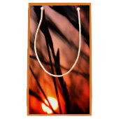 Sac cadeau pour la fête du Soleil - Petit, brillan (Devant)