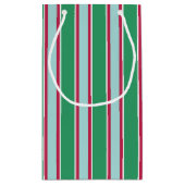 Sac Cadeau Rayé Noël Bleu Vert Classique (Dos)