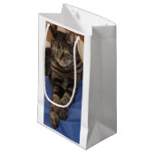 Sac cadeau Regal Dave (Devant Angle)
