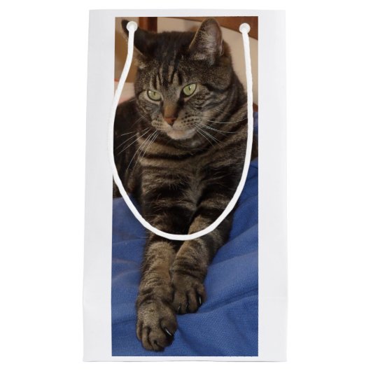 Sac cadeau Regal Dave (Devant)