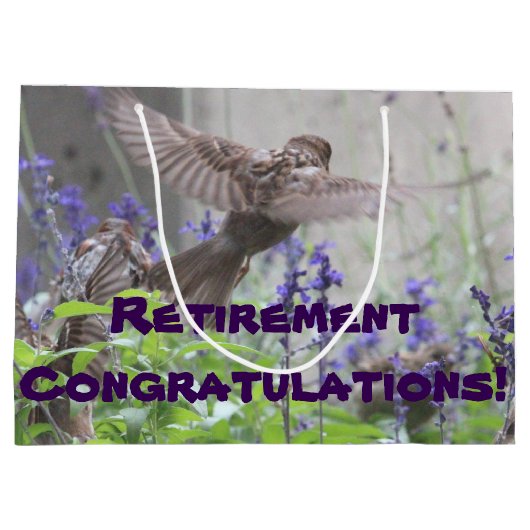 Sac cadeau retraite (Dos)