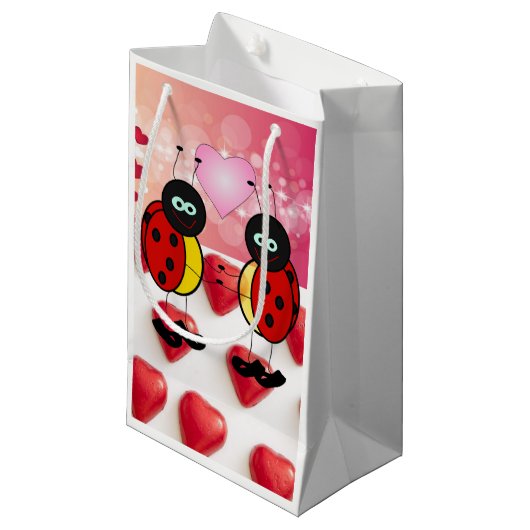 Sac Cadeau Saint-Valentin Coccinelle (Devant Angle)