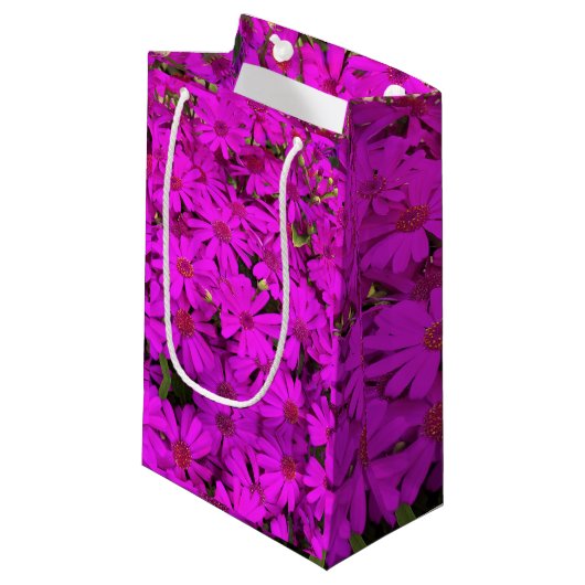 Sac Cadeau Sm Bright Pink Daisers (Devant Angle)