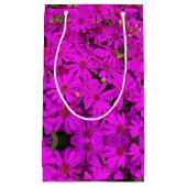 Sac Cadeau Sm Bright Pink Daisers (Devant)