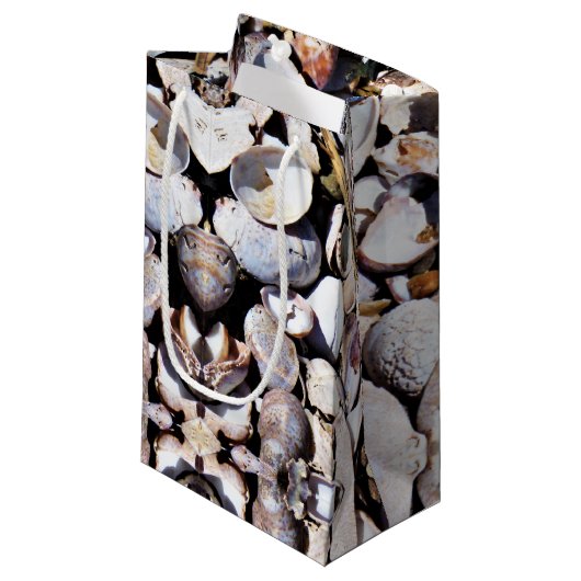 Sac Cadeau Sm Coques de mer (Devant Angle)