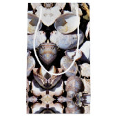 Sac Cadeau Sm Coques de mer (Devant)