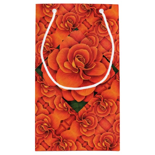 Sac Cadeau Sm Orange Begonia (Dos)