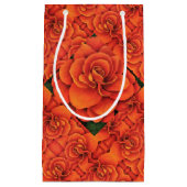 Sac Cadeau Sm Orange Begonia (Devant)