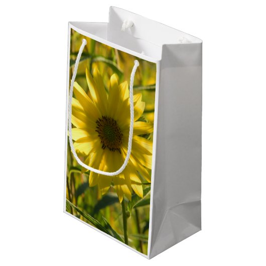 Sac cadeau Sunflower Glow (Dos Angle)