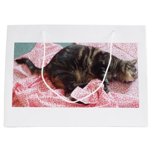Sac cadeau sur mesure Dave Glossy (Devant)