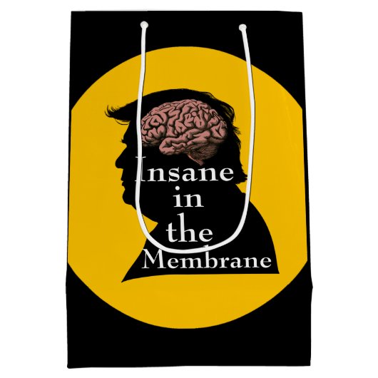 Sac cadeau Trump/fou (Dos)