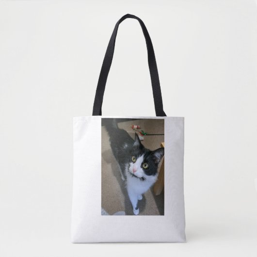 Sac chat mignon (Devant)