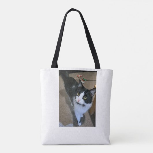 Sac chat mignon (Dos)