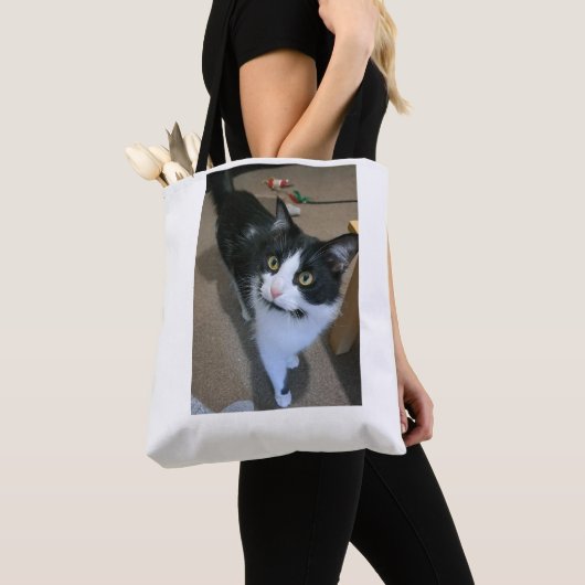 Sac chat mignon (De près)