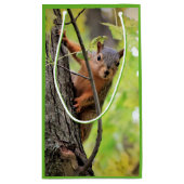 Sac curieux de cadeau d'écureuil (Dos)