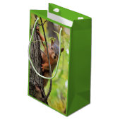 Sac curieux de cadeau d'écureuil (Dos Angle)