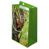 Sac curieux de cadeau d'écureuil (Devant Angle)
