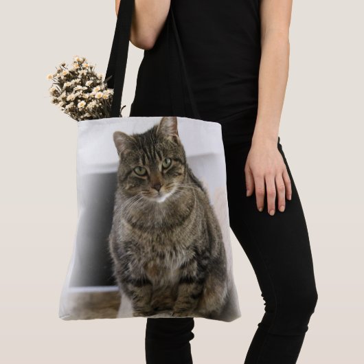 Sac d'alimentation Cat (De près)