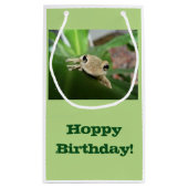 Sac de cadeau d'anniversaire, petite grenouille (Dos)