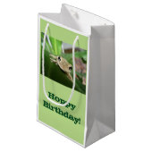 Sac de cadeau d'anniversaire, petite grenouille (Devant Angle)