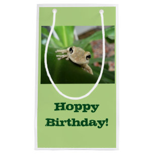 Sac de cadeau d'anniversaire, petite grenouille
