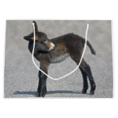 Sac de cadeau de Burro (Devant)