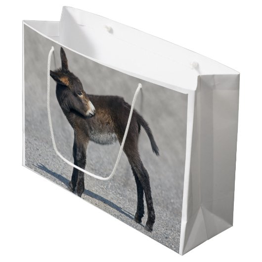 Sac de cadeau de Burro (Devant Angle)