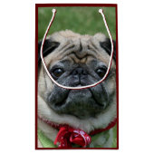 Sac de cadeau de chien de carlin (Dos)