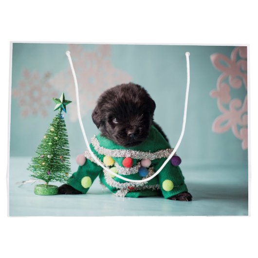 Sac de cadeau de chiot d'ours de Notta (Dos)