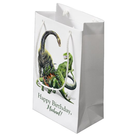Sac de cadeau de dinosaure (Dos Angle)