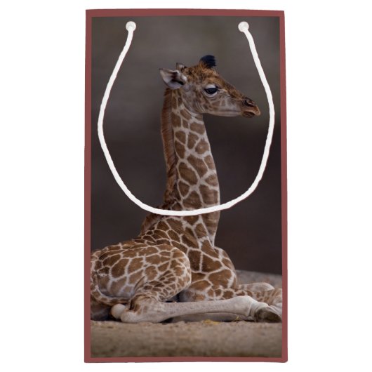 Sac de cadeau de girafe de bébé (Dos)