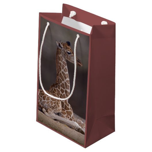 Sac de cadeau de girafe de bébé (Dos Angle)