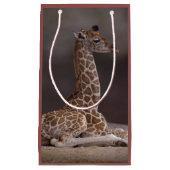 Sac de cadeau de girafe de bébé (Devant)