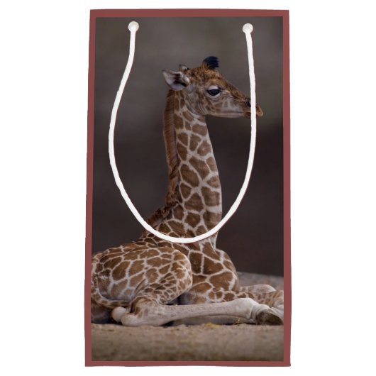 Sac de cadeau de girafe de bébé (Devant)
