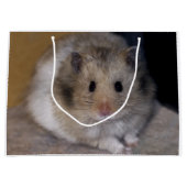 Sac de cadeau de Hammie (Devant)