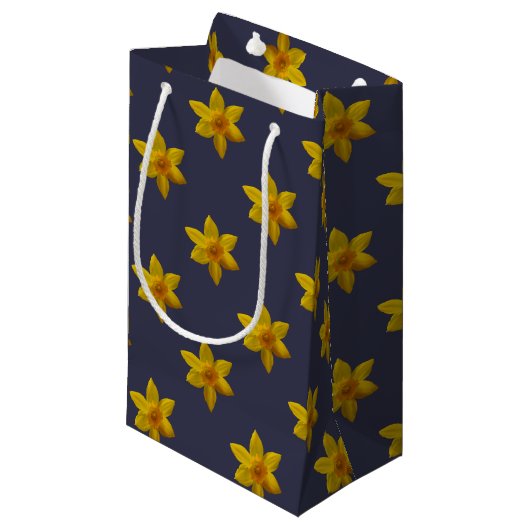 Sac de cadeau de jonquille (Devant Angle)