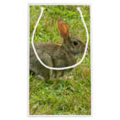 Sac de cadeau de lapin (Dos)