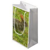 Sac de cadeau de lapin (Devant Angle)