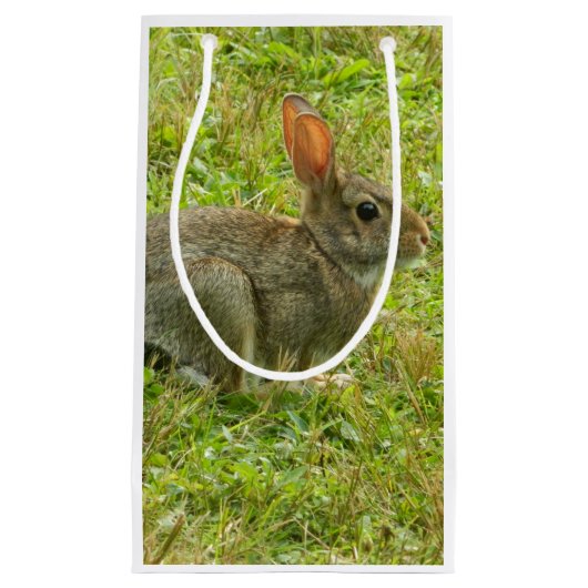 Sac de cadeau de lapin (Devant)