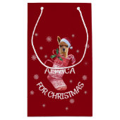 Sac de cadeau de Noël d'alpaga (Dos)