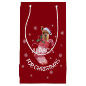 Sac de cadeau de Noël d'alpaga (Devant)