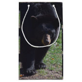 Sac de cadeau d'ours noir (Dos)