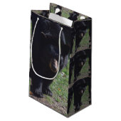 Sac de cadeau d'ours noir (Dos Angle)