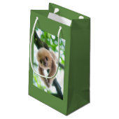 Sac de cadeau pour vos amis de paresses (Dos Angle)